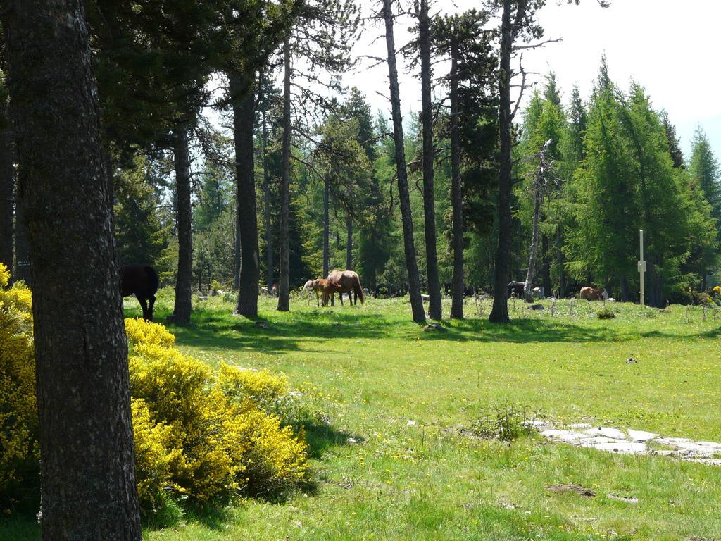 Font Romeu Via Apartment Ruang foto